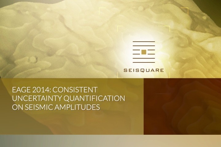 Eage 2014: Consistent Uncertainty Quantification On Seismic Amplitudes